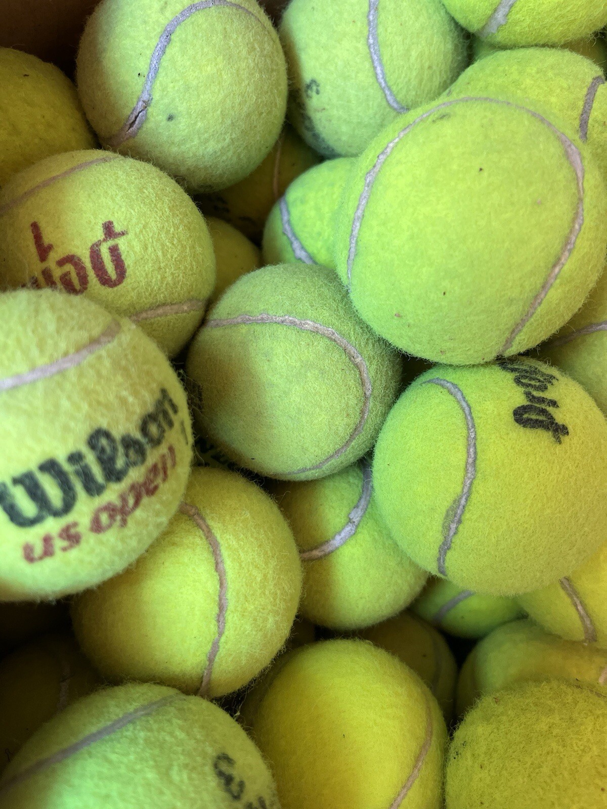 10 of Good Grade used Tennis Balls from Wilson, Dunlop, Penn, Head, etc Dog Toys