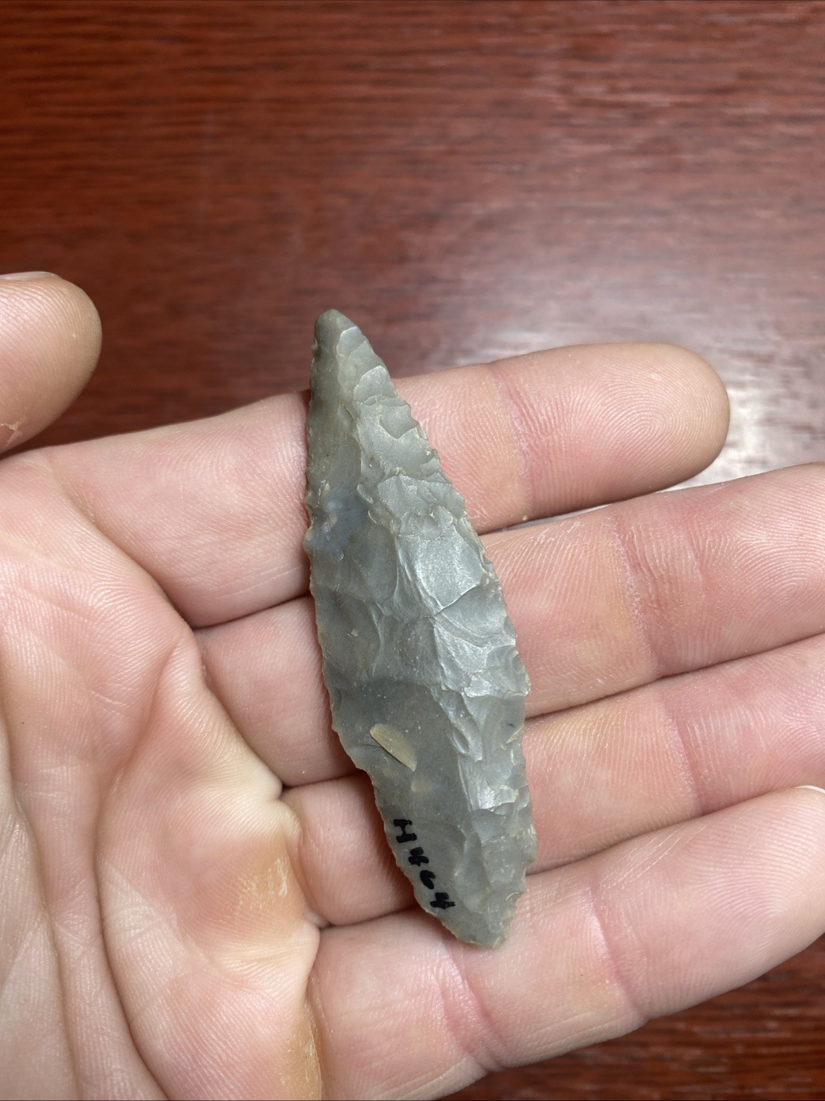 MLC s8264 2 5/8” Adena Turkeytail Arrowhead Ohio Stone Artifact