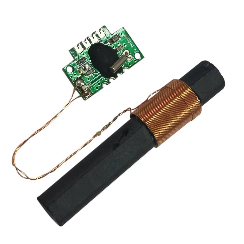 DCF 77 Receiver Module Integrated Circuits Radio Time Module 1PC 60x10mm DCF77
