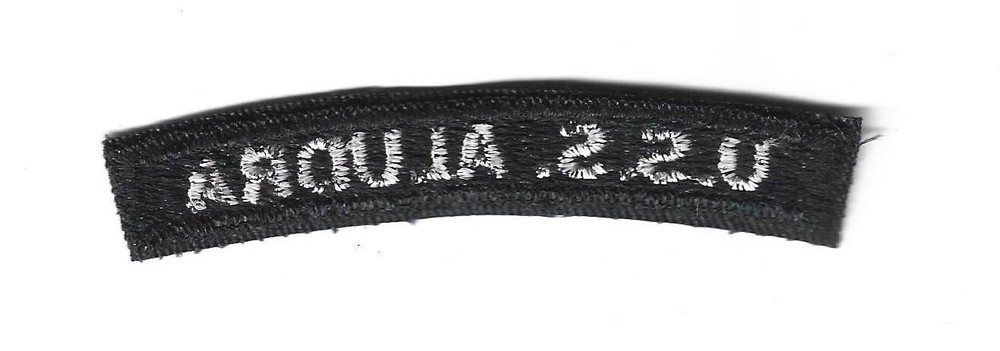 Vintage Navy USS ALUDRA Shoulder Patch