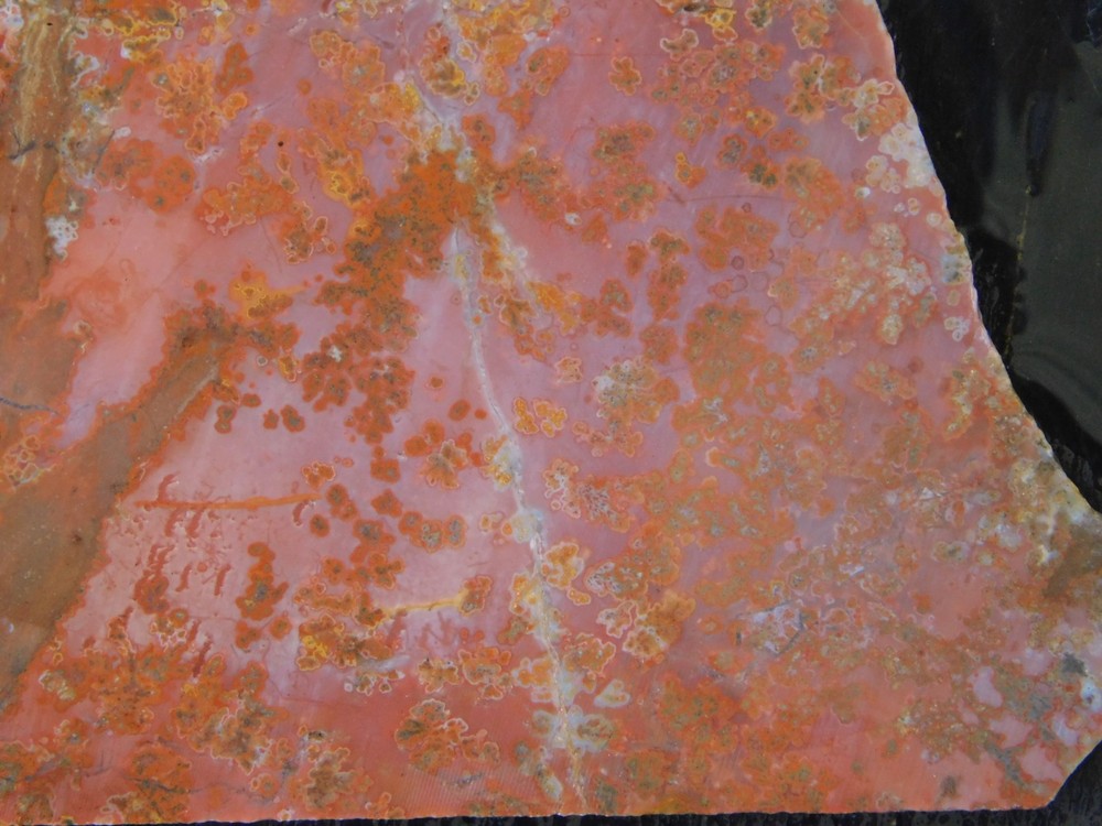 unknown Plume Agate lapidary cabbing slab 4mm thick