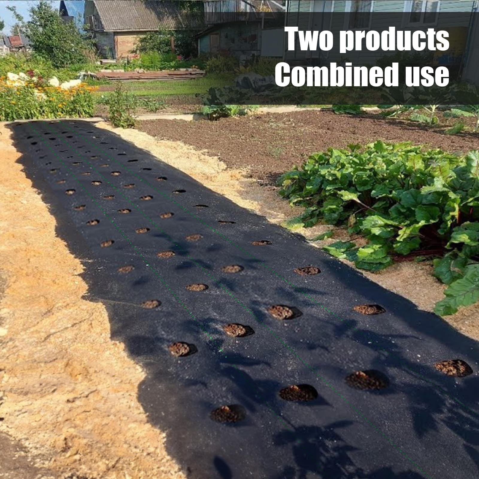 Etnorsu Weed Barrier Landscape Fabric with 3'' Planting Holes,Garden 1Pcs
