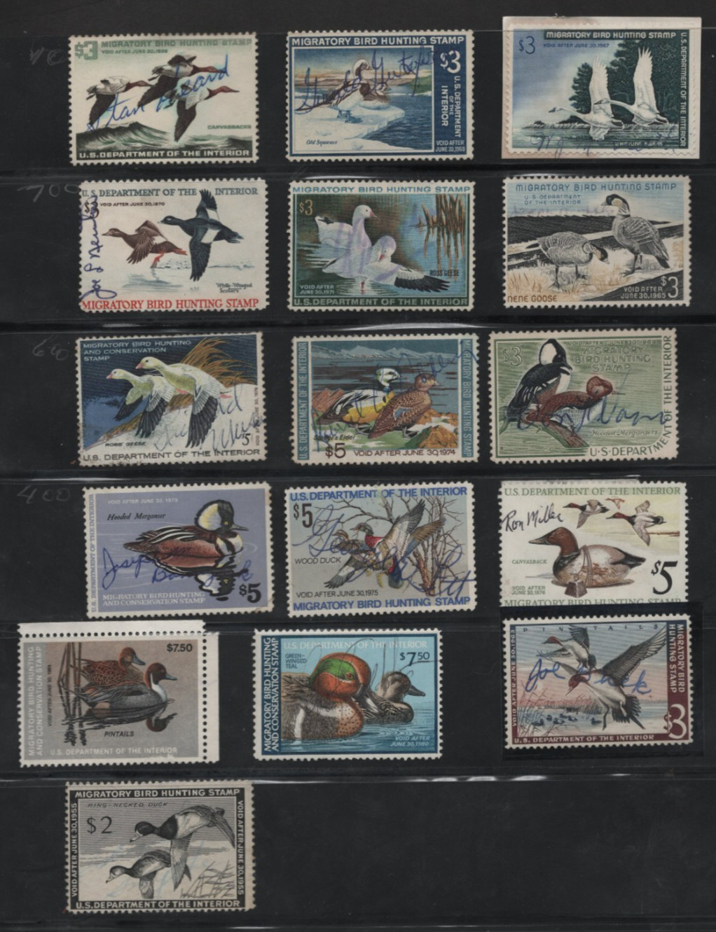 US 1930s-1980s COLLECTION OF 56 FEDERAL DUCK HUNTING STAMPS USED FEW UNSIGNED