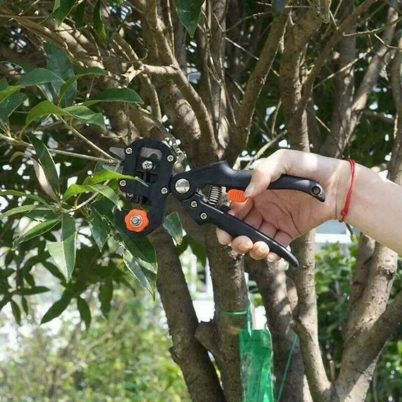 Pro Pruning Shears Garden Grafting Tool Set Kit Fruit Tree Scissor Cutter