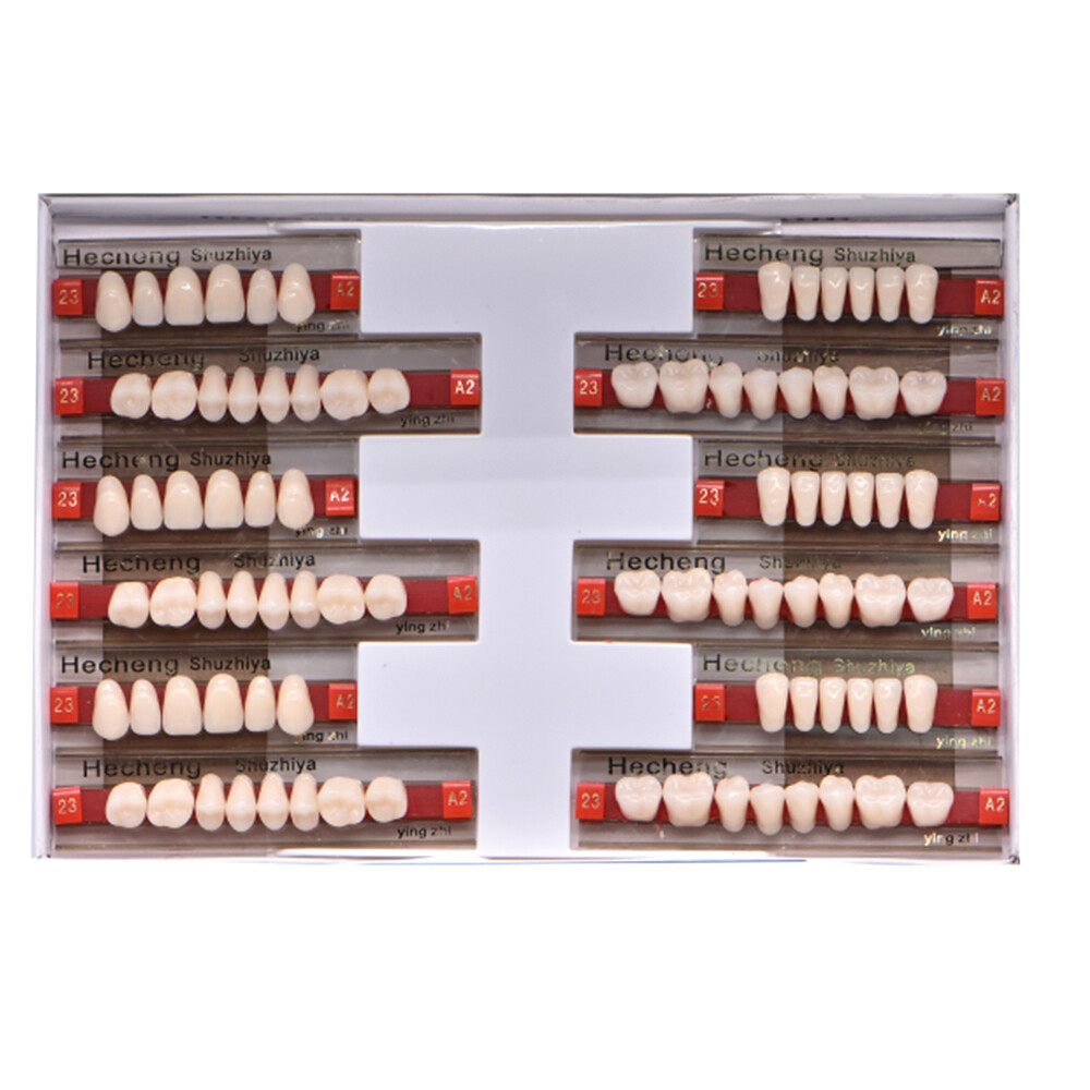 84Pcs Dental A2 #23 Rigid Synthetic Resin Teeth Upper Lower False Teeth