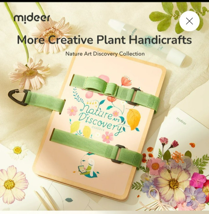 Mideer Nature Art discovery collection