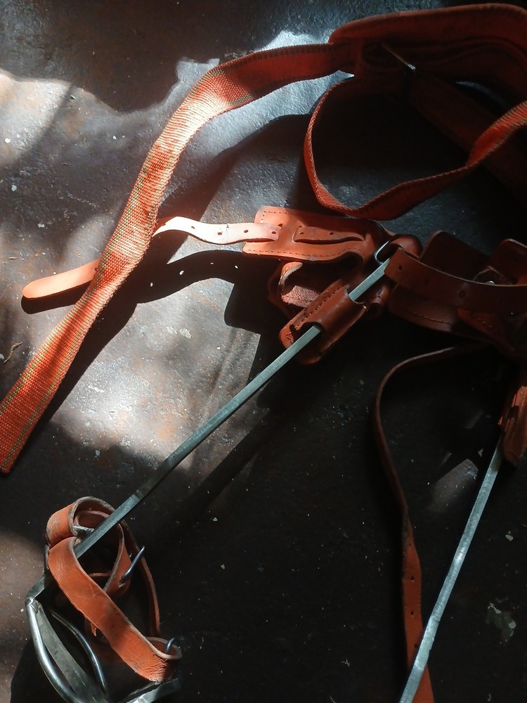 tree climbing gear used