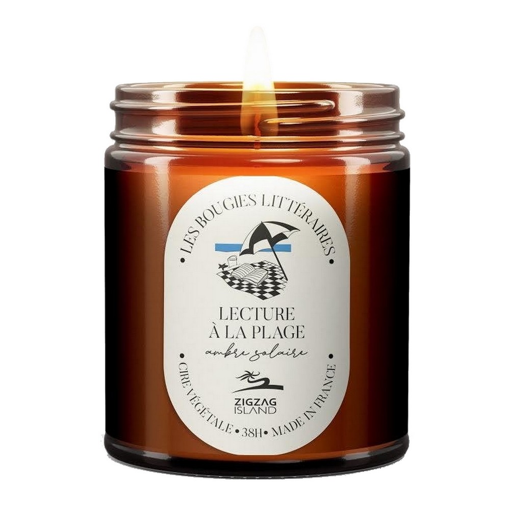 Solar Amber Scented Vegetable Candle (Beach Reading)