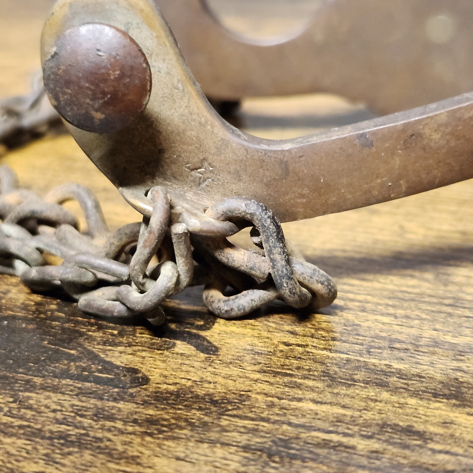 Antique Horse Head Western Spurs Star Mark August Buermann Era Bronze Toned