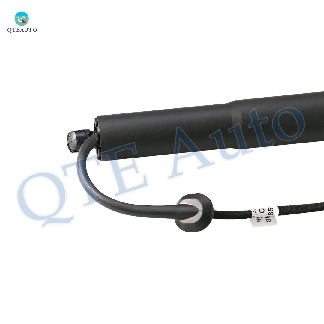 Pair of 2 Rear Power Hatch Lift Support For 2019-2023 Audi Q8