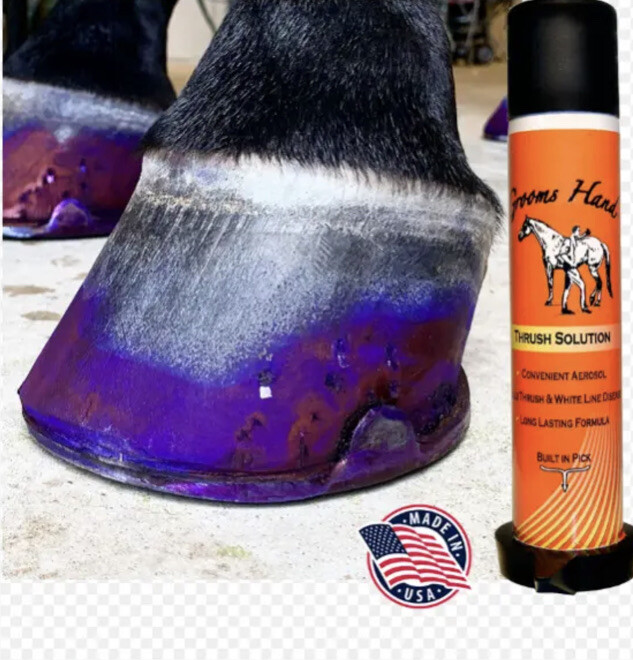 Groom’s Hand Thrush Solution Includes Attached Pick and Spray Solution