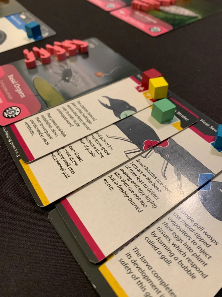 Bios: Mesofauna Pupate, Pollinate, Populate Board Game - New / Sealed