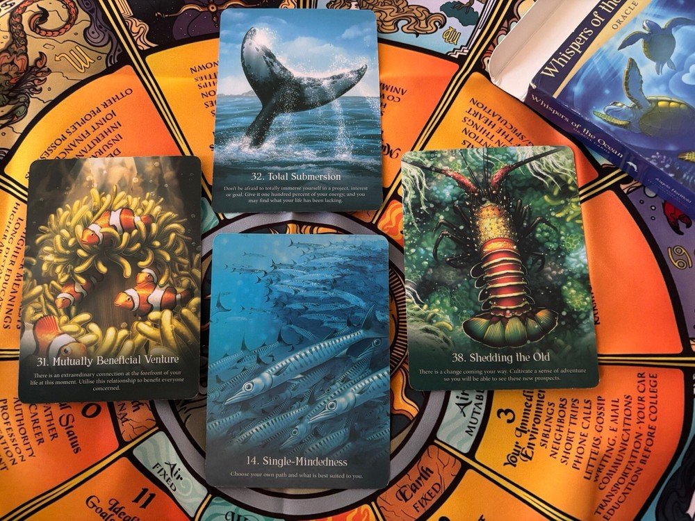 Same Day - 4 Card Oracle Reading