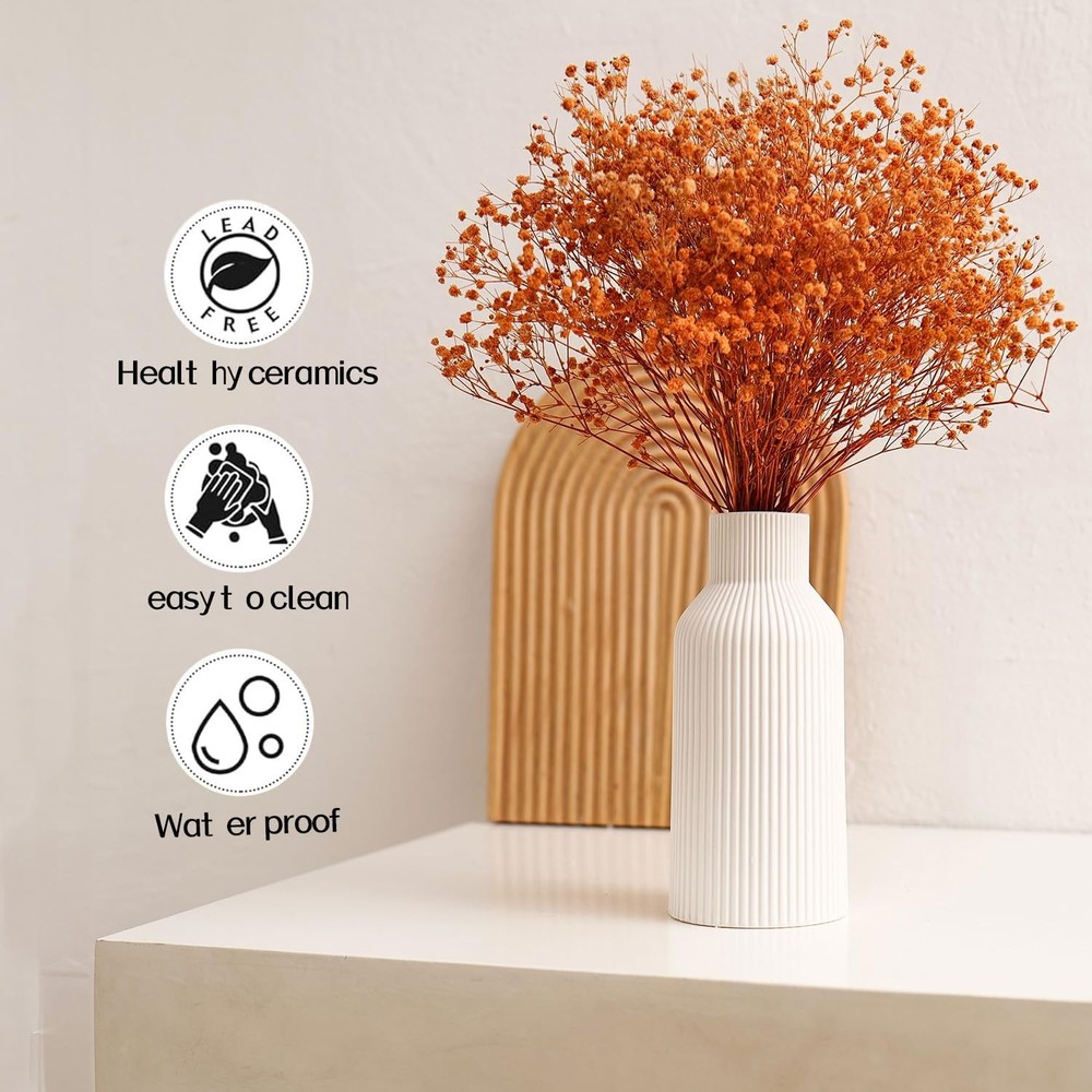 Ceramic Decorative Vase for Home Decor