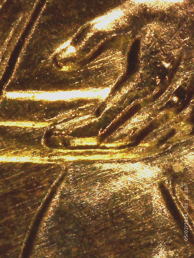 2009 P BU FY DOUBLED DIE REVERSE ERROR WDDR-010