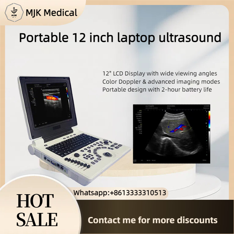 Portable 12 inch laptop ultrasound with convex array probe and linear array prob