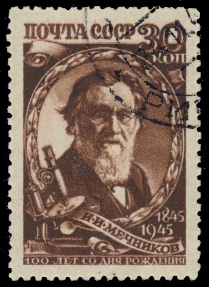 RUSSIA 1011 - Ilya Mechnikov "Zoologist" (pb55206)