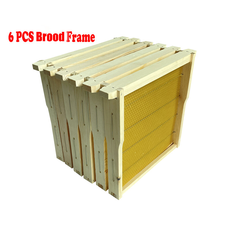 Small Beehive Frames Beeswax Foundation Wooden Auto Run Sheets Box x 10XFrames