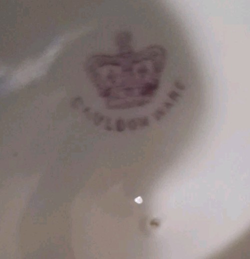 Cauldon Ware Coffee/teapot