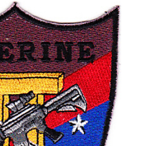 Rivron 2 Naval River Squadron Two Patch