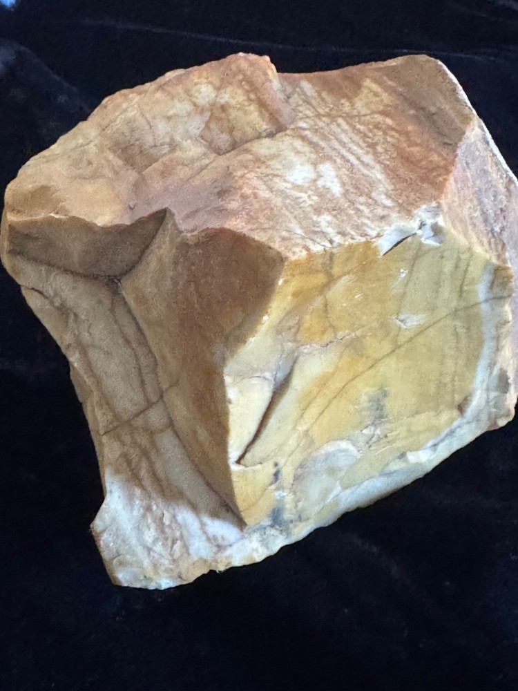 Petrified Wood