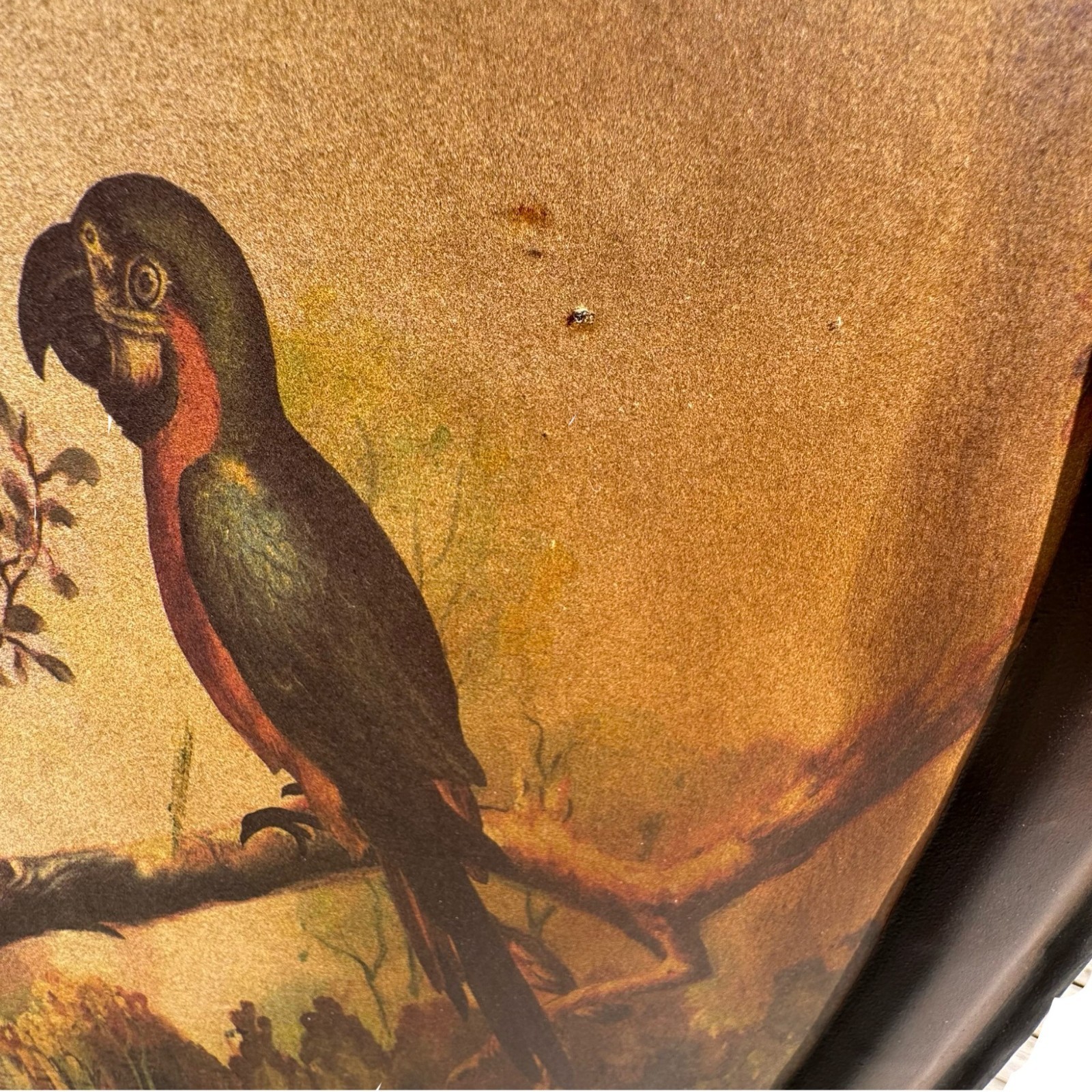 Tropical Parrots Decorative Iron Folding Screen Room Divider Painted Panel Birds