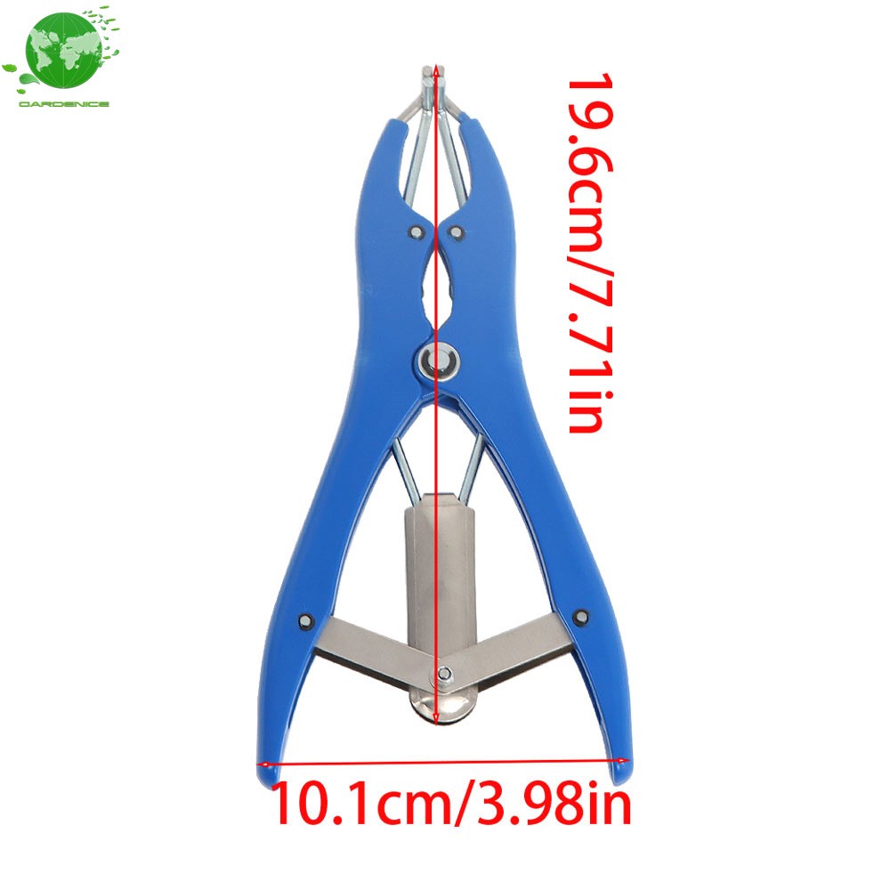 Bander Docking Elastrator Castration Applicator Sheep ＋100 Pcs Marking Ring