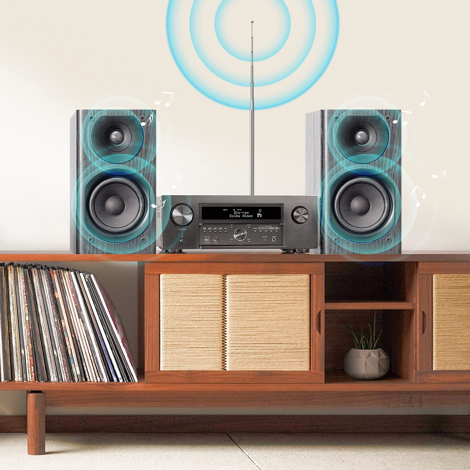 Bingfu 75 Ohm FM Antenna and AM 20cm-115cm Telescopic Kit