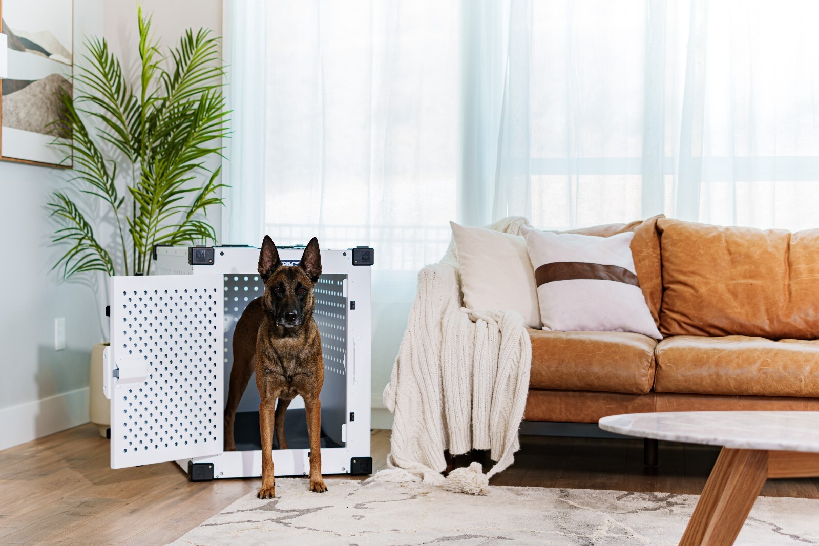 Impact Dog Crates High Anxiety Crate