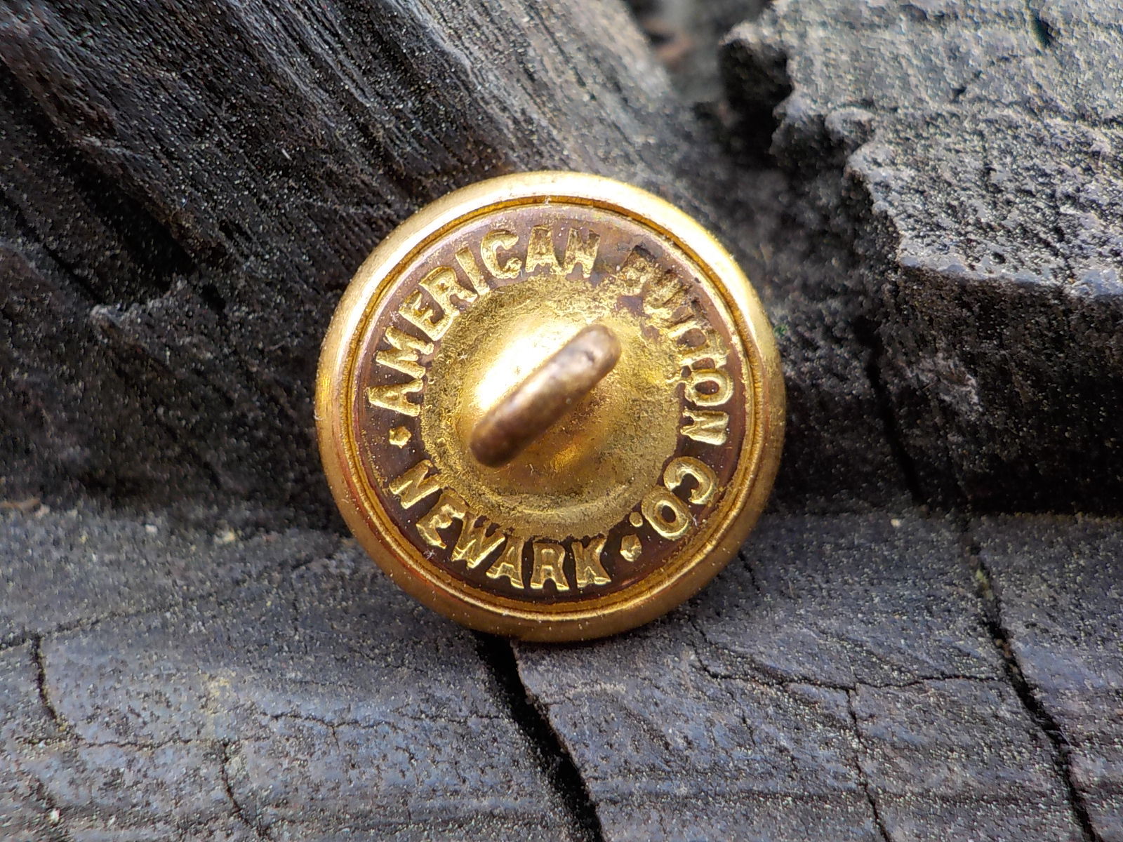 Old Rare Vintage Antique War Relic Wisconsin State Seal Vest Button Free Case