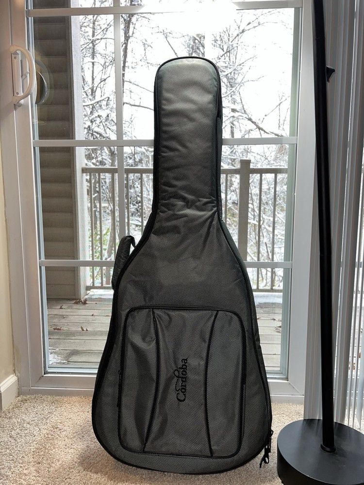 Beginner Guitar Package Including Guitar, Guitar Case & Beginner Workbook!
