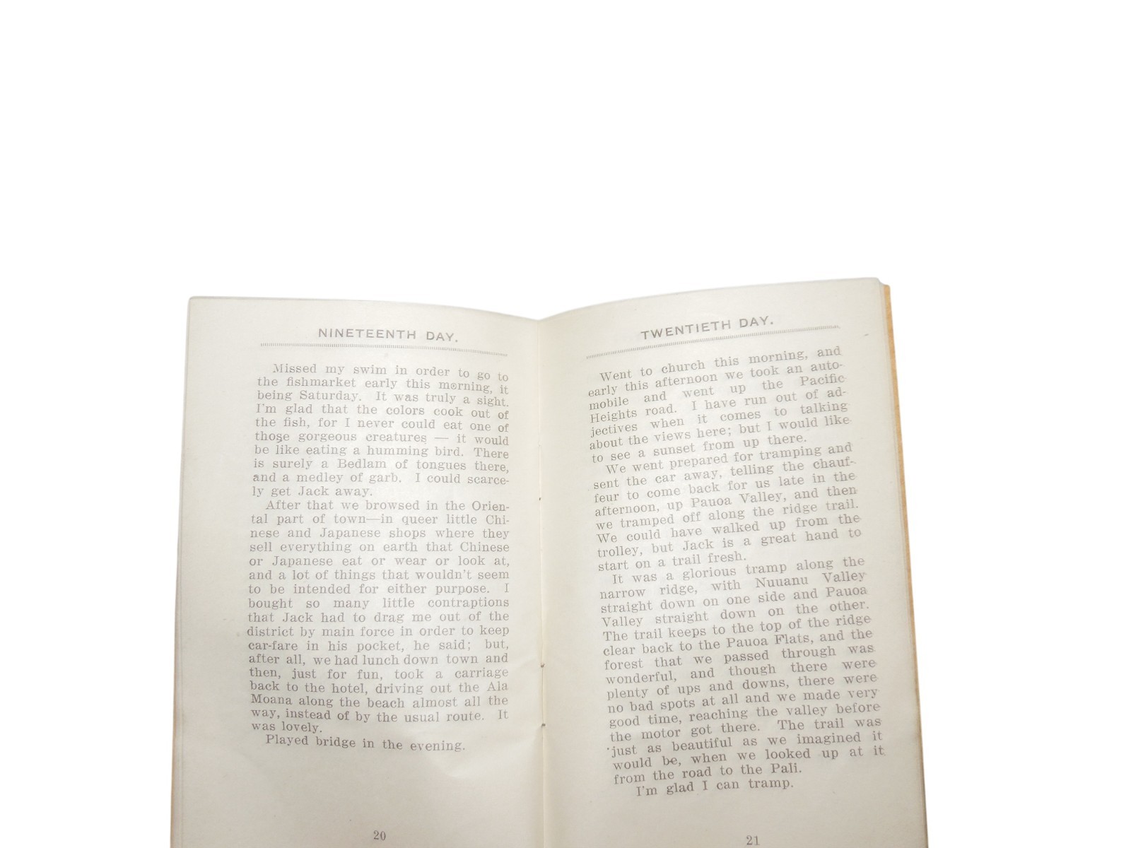 Original WWI 1919 A Month in Honolulu HAWAII Diary Book Q6