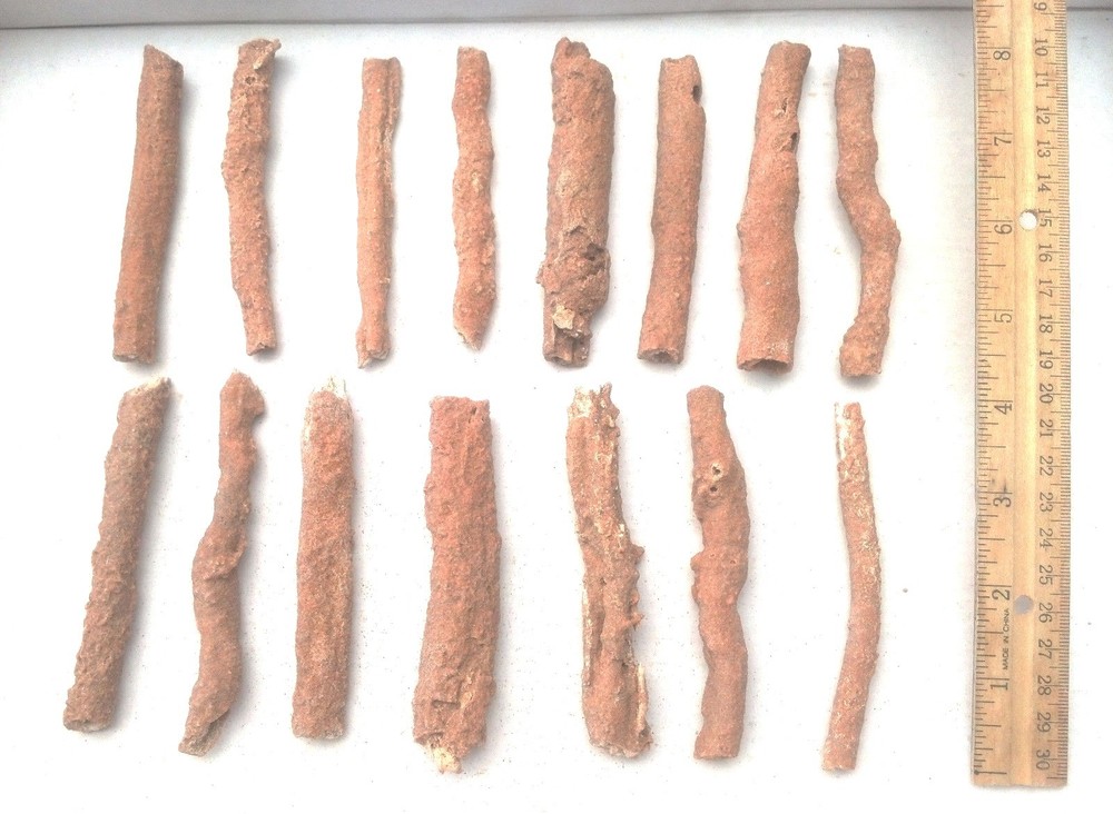 Extra LARGE FULGURITE Morocco 4" long and only $26 each PETRIFIED LIGHTNING!