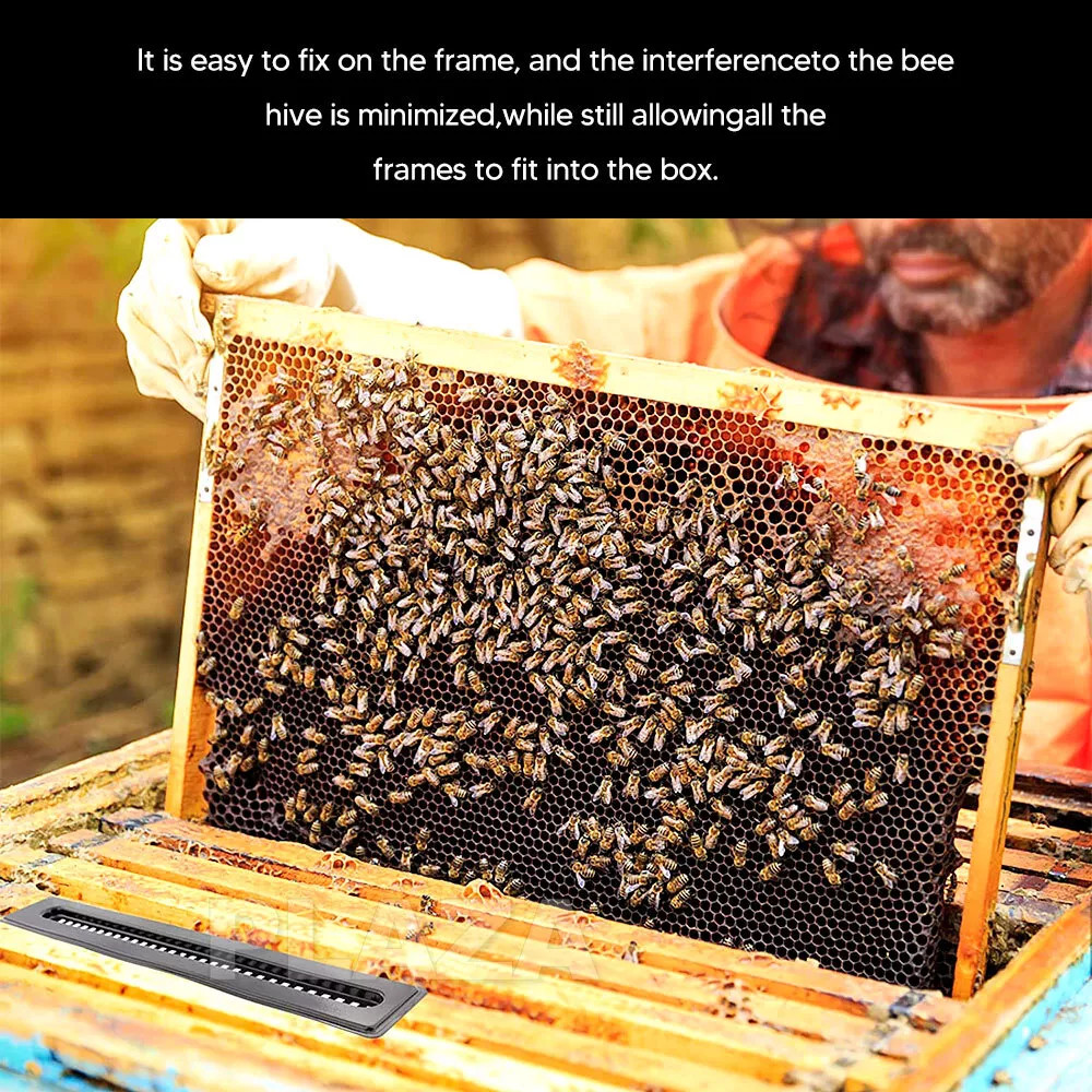 20/40/60×Hive traps Beetle Beekeeping tool For catching small beetles in beehive