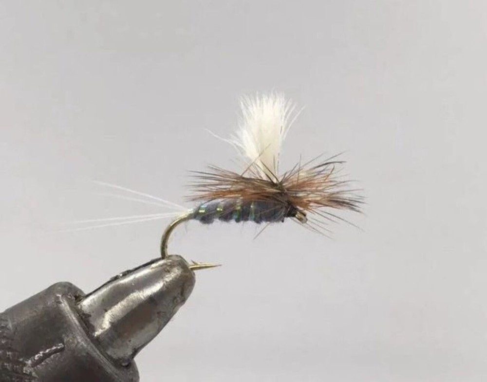 One Dozen (12) - Compara Wulff - Grey - Dry Fly