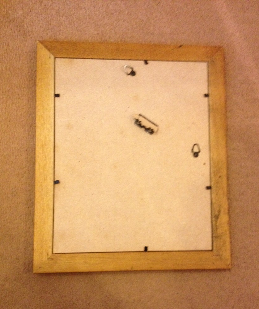 Wolf Original Drawing Framed