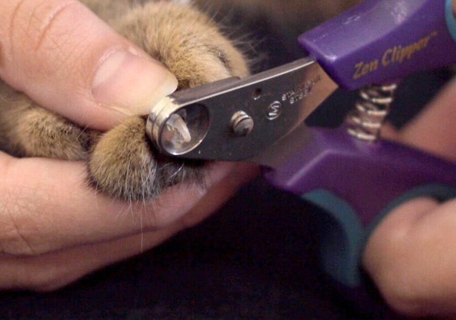 Zen Clipper® - NEW - FREE SHIPPING