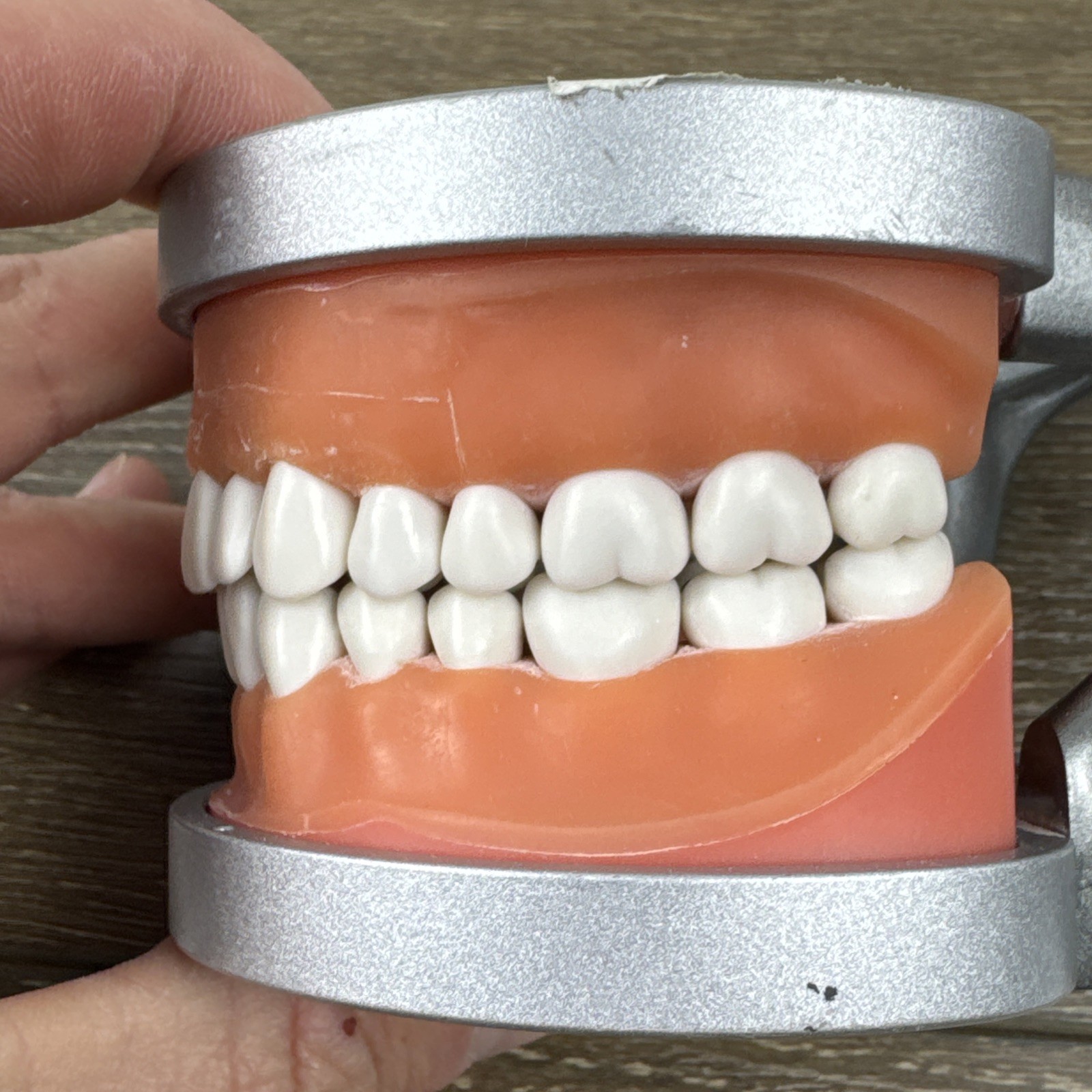 Acadental ModuPRO MP_R320 Restoration Typodont & Case WREB CDCA ADEX Teeth #54