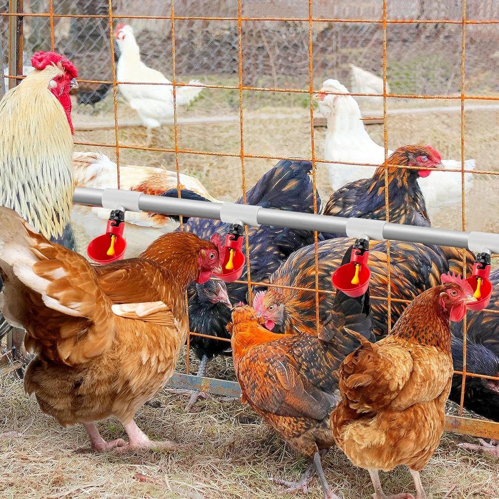 12 Pack Chicken Waterer PVC Tee Fittings - Fully Automatic for Threaded Chick...