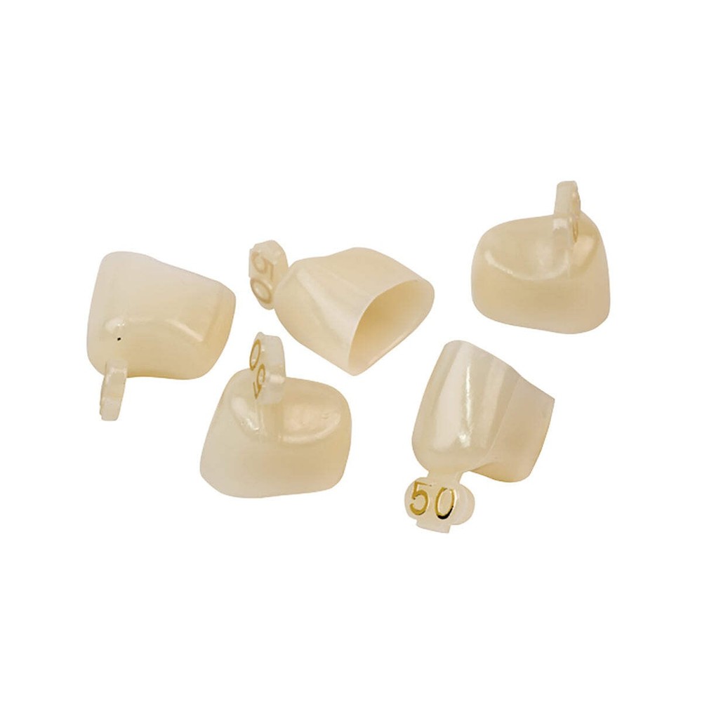 Dexiter Polycarbonate Temporary Crowns (2nd Bicuspid)