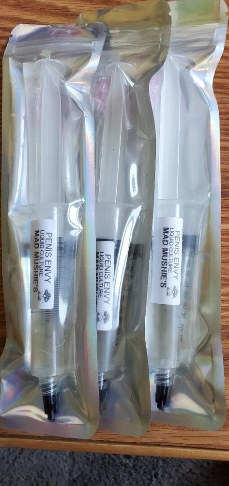 Mycelium study kit for your microscope