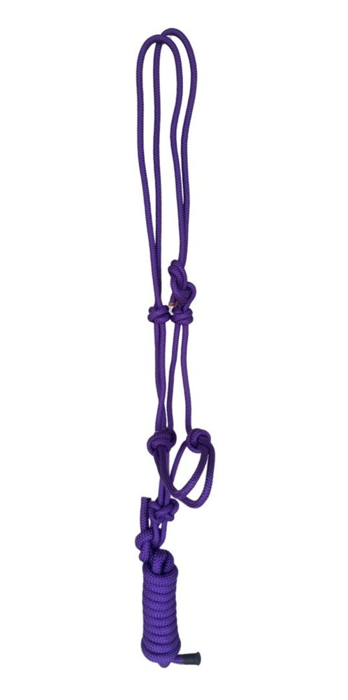 Rope Halter w/ 9' Lead