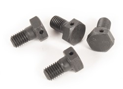 1971-1979 VW Super Beetle Front Backing Plate Bolt Hardware Kit