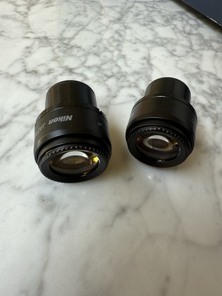 Pair Nikon Eclipse 80i 90i Microscope Eyepiece Occulars CFI 10x/22