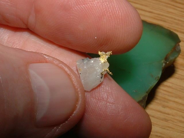 GOLD MATRIX SPECIMEN .47 GRAM CALIFORNIA GOLD IN QUARTZ