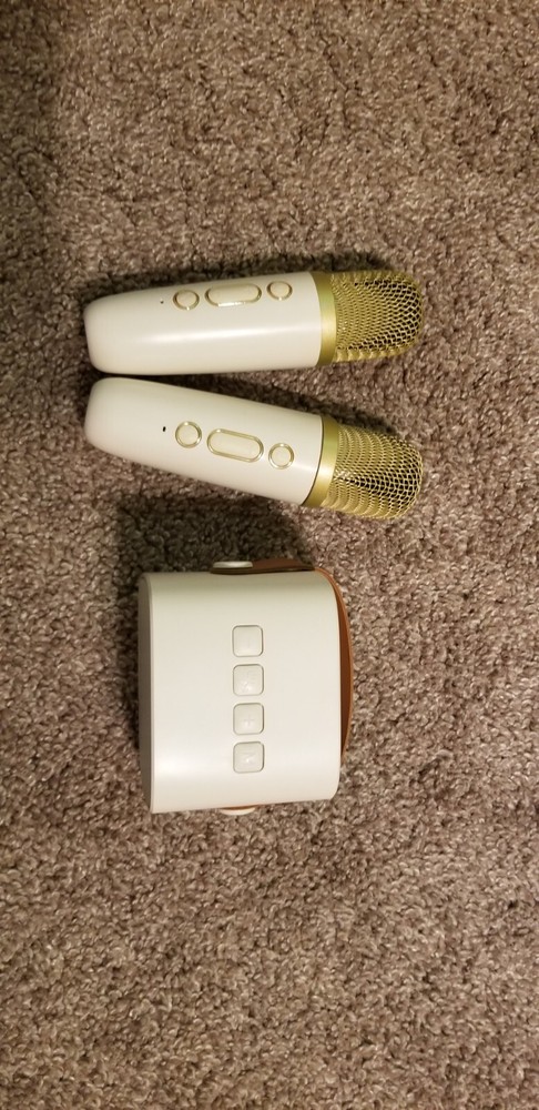 Compact Karaoke Machine 2 Mics Gold