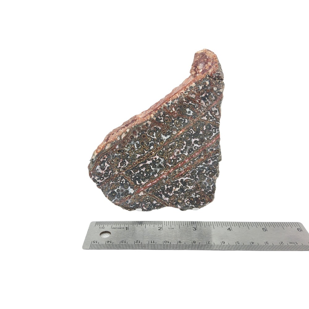 Leopard Jasper, slab, cabbing rough, lapidary, #R-6862