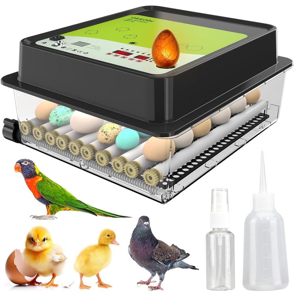 Incubators for Hatching Eggs - 36 pcs | Incubator with Automatic Turning and Hum