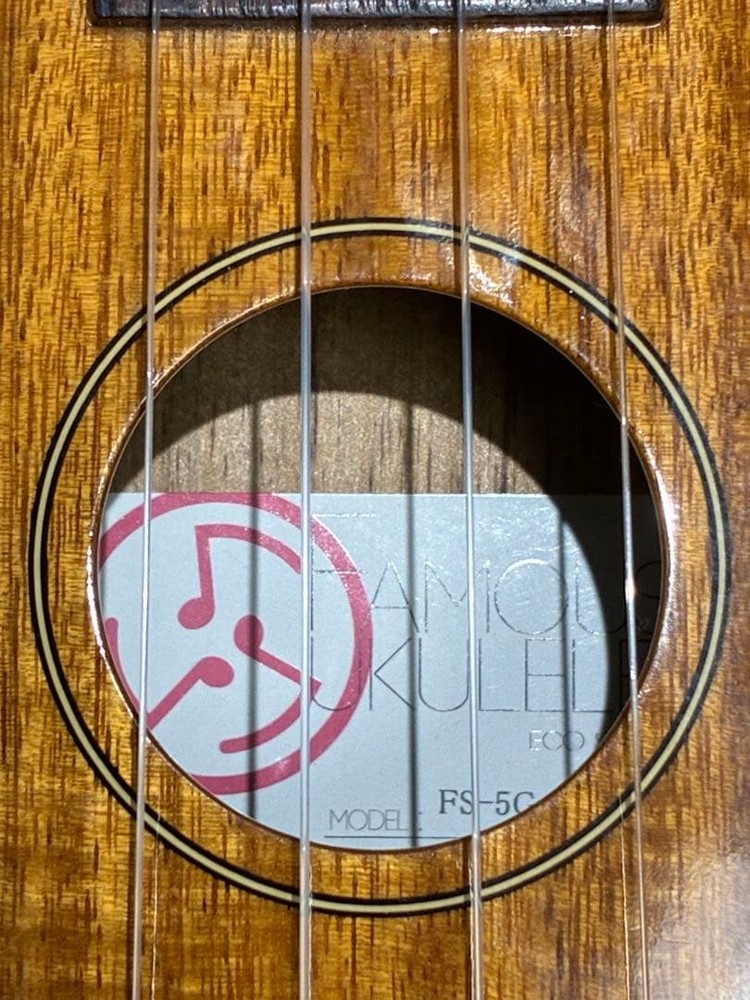 Famous FS-5G (good condition)