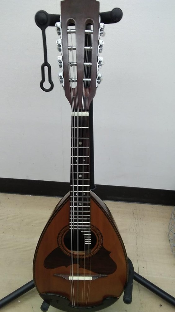 SUZUKI M-218 Mandolin
